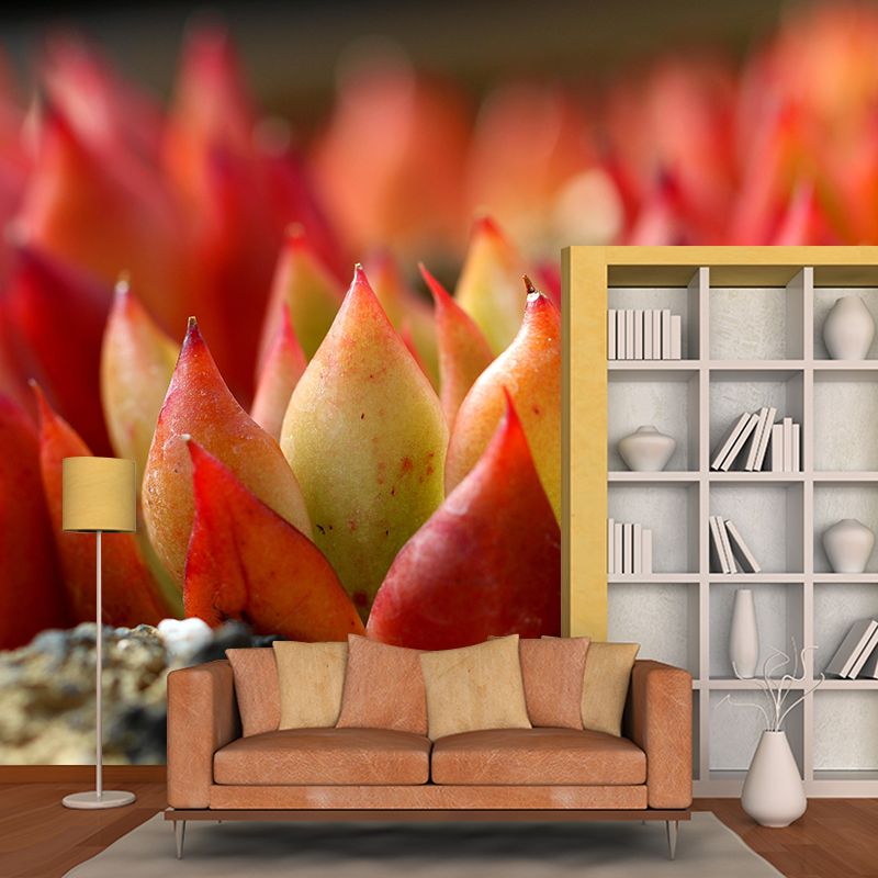 Succulent Potted Plants Mural Wallpaper Stain Resistant Wall Covering for Living Room
