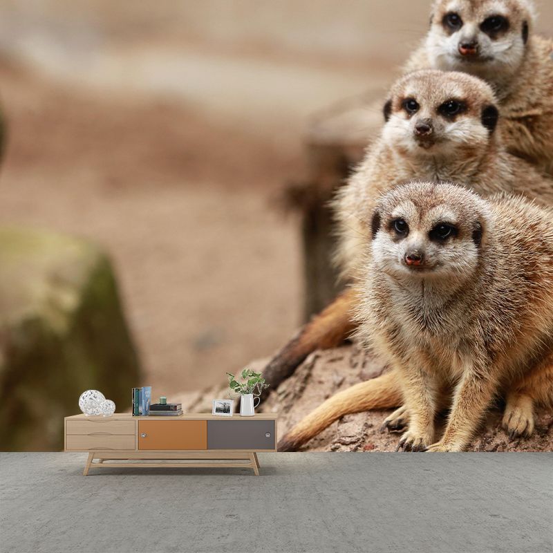 Contemporary Style Meerkat Mural Eco-friendly Wallpaper Wall Covering for Sitting Room