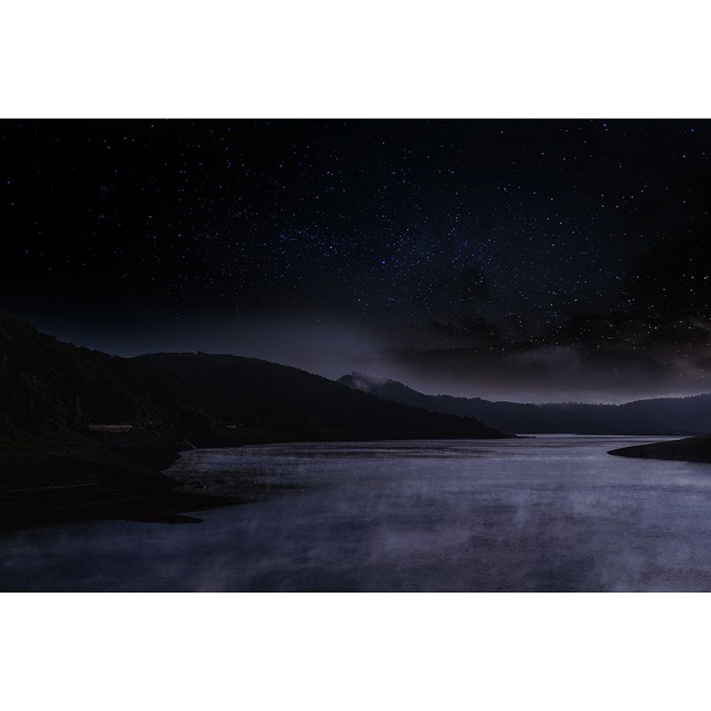 Dark Color Sky Wall Murals Moisture Resistant Contemporary Wall Art for Bedroom