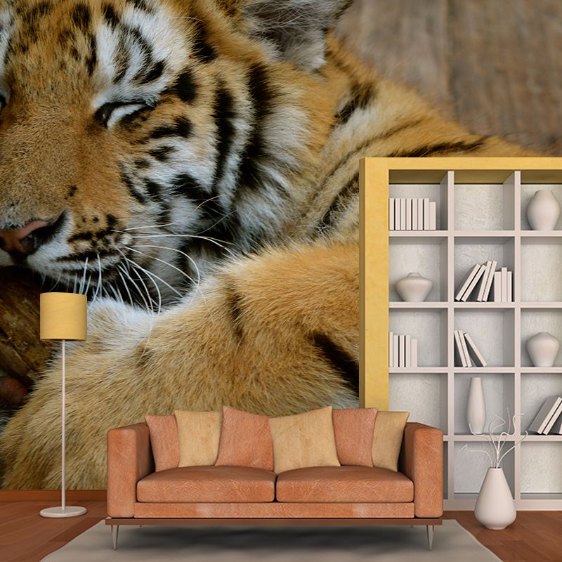 Tiger Contemporary Mural Decal Sitting Room Moisture Resistant Wall Decor
