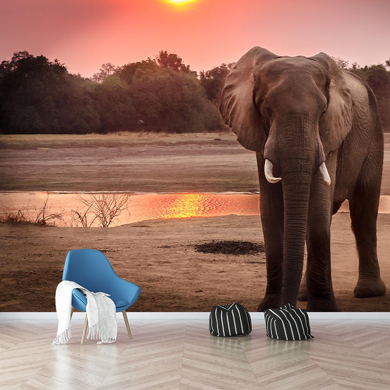 Giraffe Print Mildew Resistant Wall Mural Wild Animal Wallpaper Wall Murals for Home