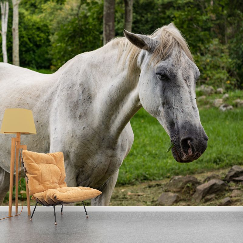 Horse Mural Contemporary Mildew Resistant Wall Covering for Living Room