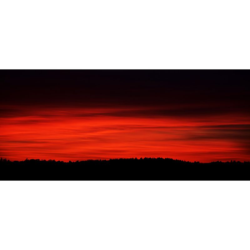 Photography Sky Landscape Mural Mildew Resistant Wall Decor for Bedroom