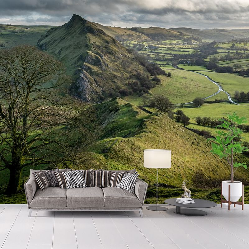 Customized Moisture Resistant Mural Wallpaper Decal Mountain in Soft Color