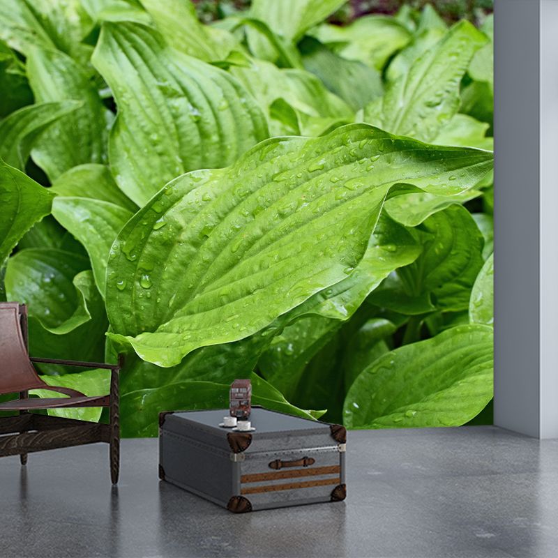 Customized Hosta Leaf Wall Mural Stain Resistant for Living Room Decor
