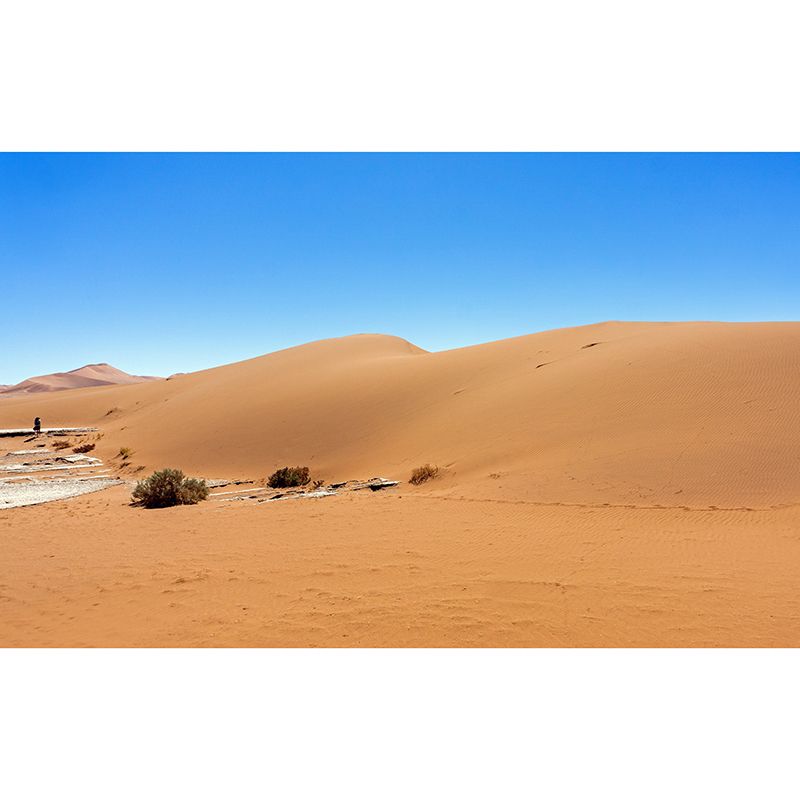 Desert Scenery Contemporary Wallpaper Eco-friendly Wall Decor for Bedroom