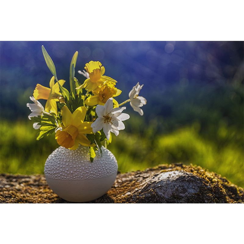 Minimalism Style Mural Wallpaper Flower Modern Wall Covering for Bedroom