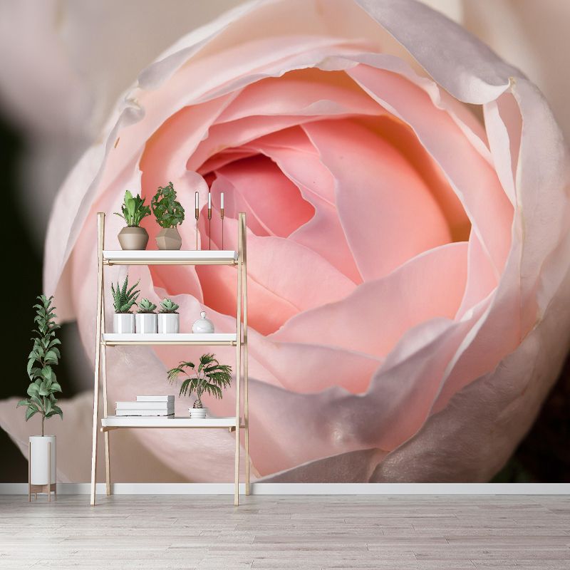 Horizontal Photography Rosaceae Wall Mural for Living Room Girls Bedroom