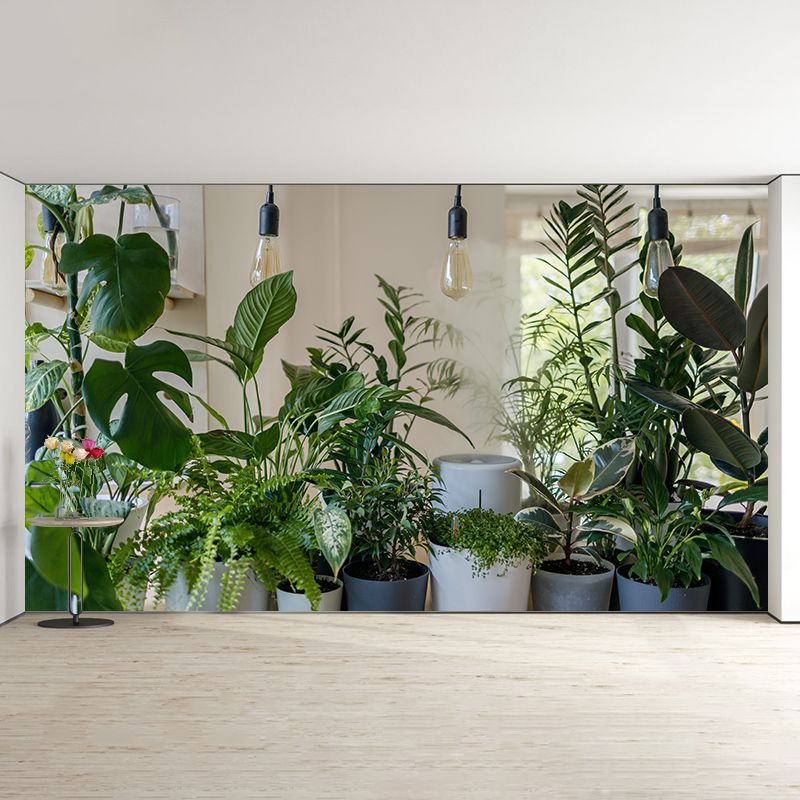 Photography Environment Friendly Mural Wallpaper Tropical Plants Bedroom Wall Mural