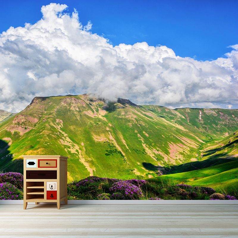 Mountain Scenery Wall Mural Modernism Style Wall Decoration for Living Room