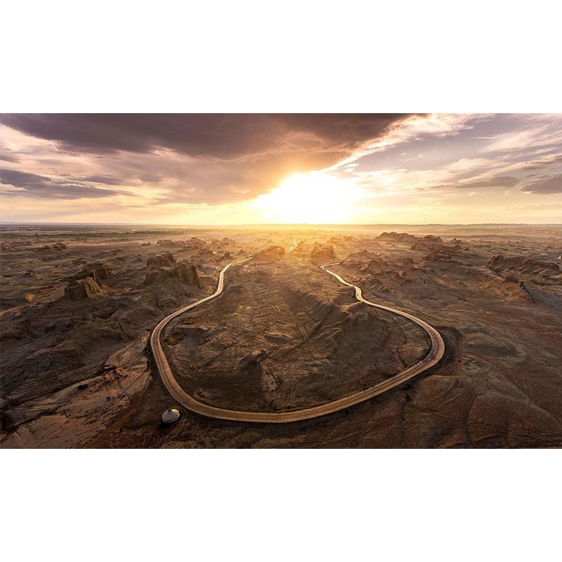 Contemporary Wilds Curved Road Mural Brown Sunset Landscape Wall Decor for Bedroom