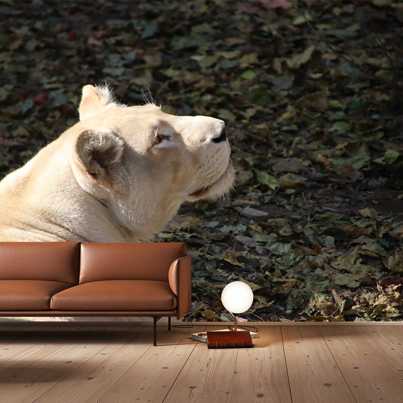 Lioness Animal Wall Mural Modernism Mildew Resistant Wall Decor for Living Room
