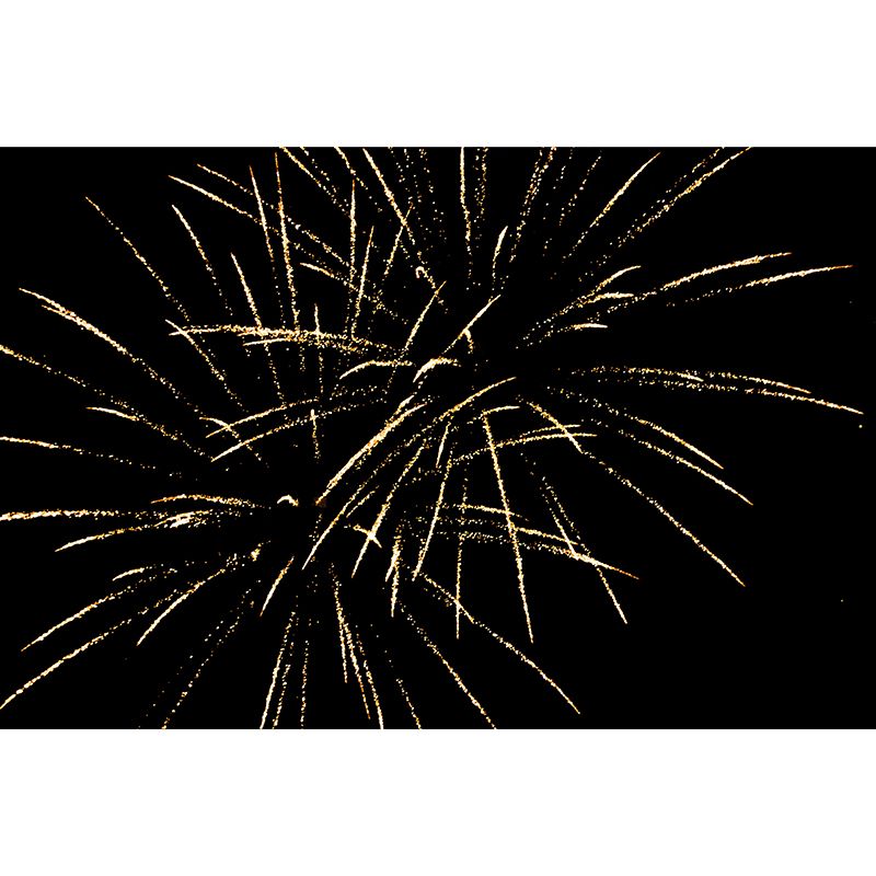 Gorgeous Fireworks Wall Murals Contemporary Wall Art for Bedroom Living Room