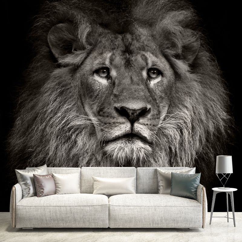 Photo Printed Lion Head Mural Wallpaper for Accent Wall, Black, Personalized Size