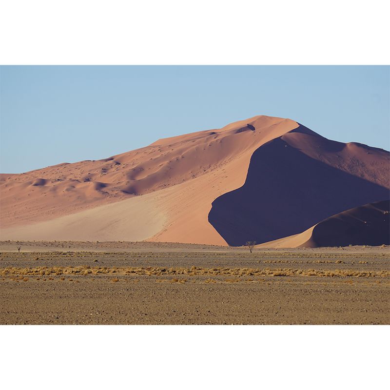 Desert Landscape Mural Horizontal Photography Wall Decor for Living Room