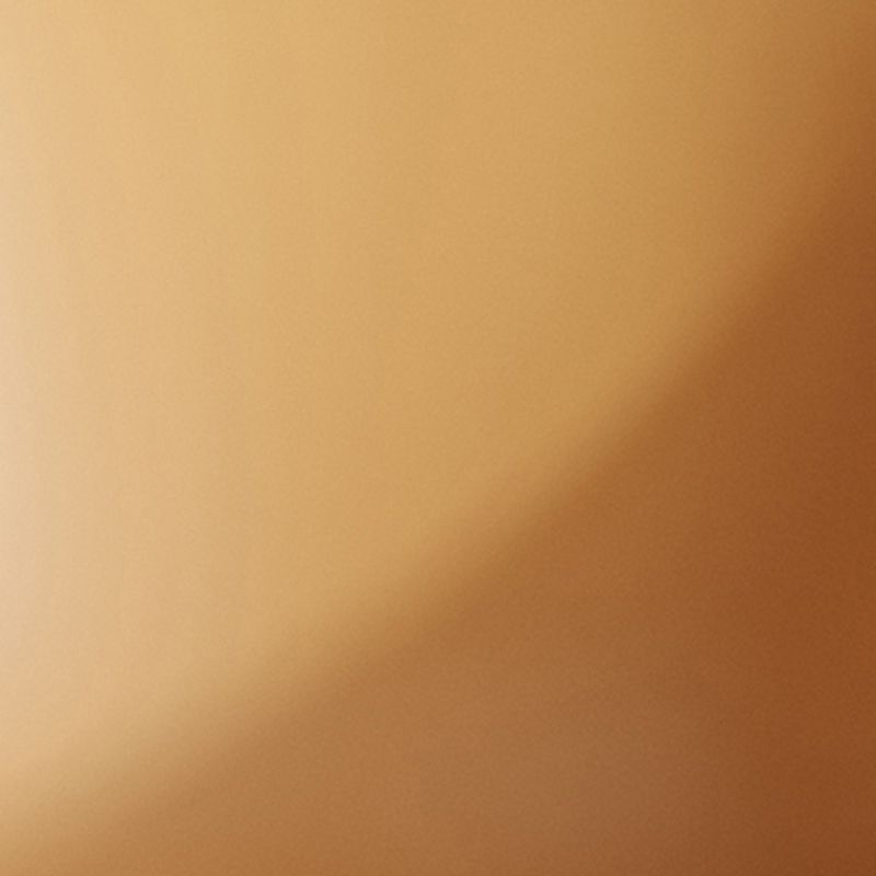 Modern Style PU Leather Chair Wingback Dining Side Chair for Indoor