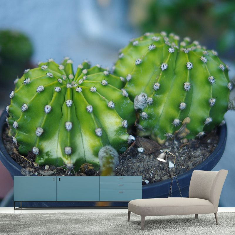 Customized Modern Plants Mural Wallpaper with Cactus Pattern Mildew Resistant