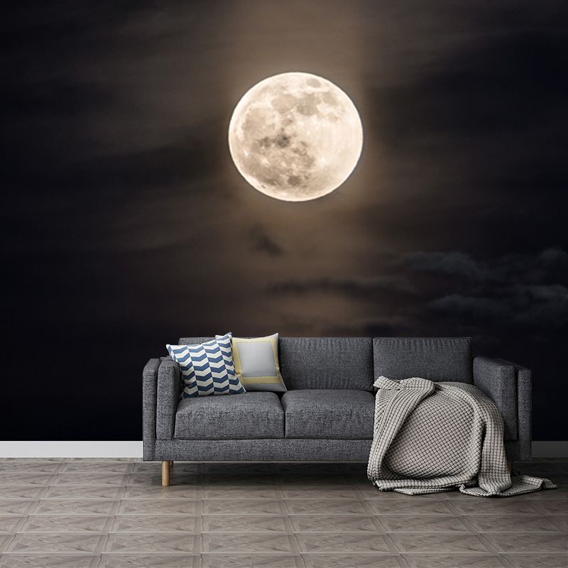 Modern Pastel Moonshine Mural for Bedroom Customized Wall Decor in Black and White