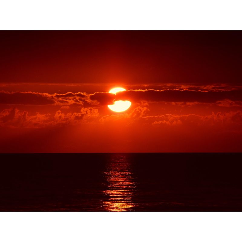 Photography Wall Mural Wallpaper Beautiful Sky Sitting Room Wall Mural