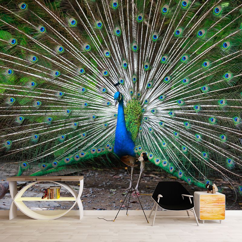 Haughty Peacock Mural Wallpaper Contemporary Style Wall Covering for Living Room
