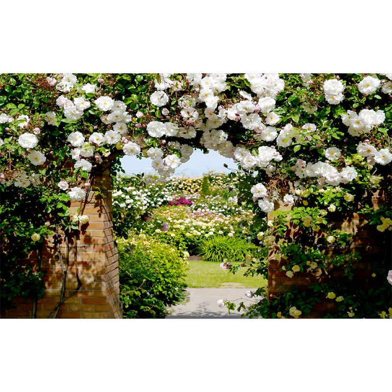 Photography Flower Archway Mural Decal for Living Room, Green and White, Custom Print