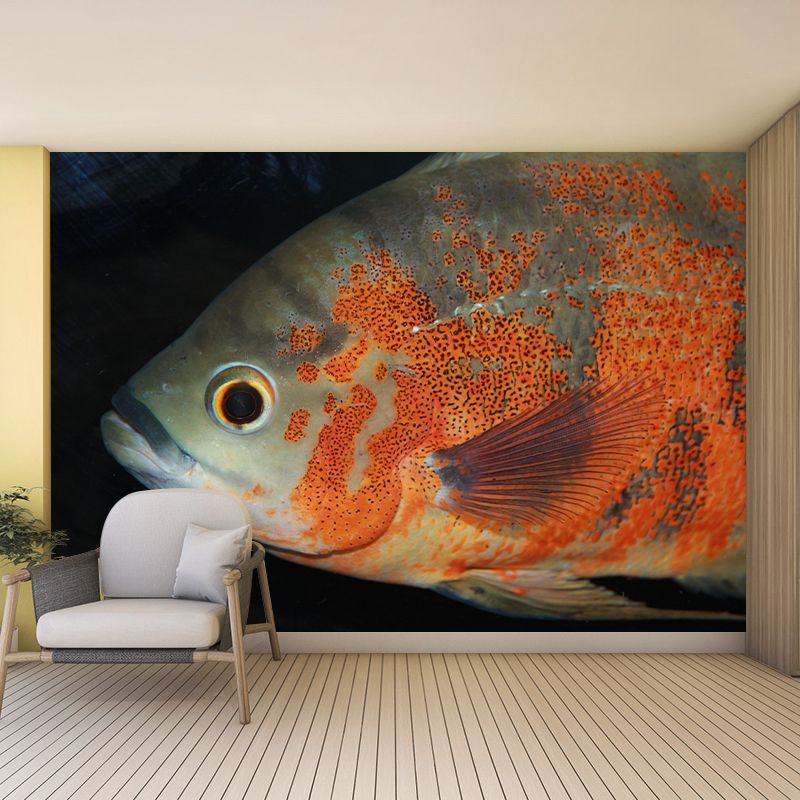 Photography Underwater Wall Mural Contemporary Decorative Wall Murals for Bedrooms
