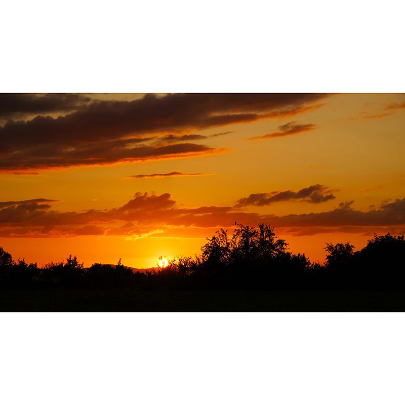 Photography Sky Landscape Mural Mildew Resistant Wall Decor for Living Room