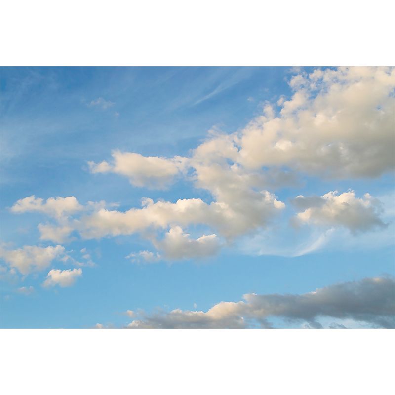 Beautiful Cloudscape Mural Decal Customized Contemporary Wall Covering for Bedroom