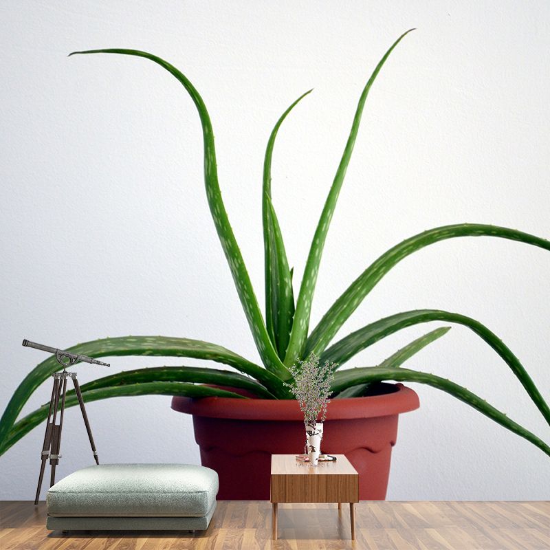 Green Plants Wall Mural Vinyl Wall Art Decor for Office Home Apartment