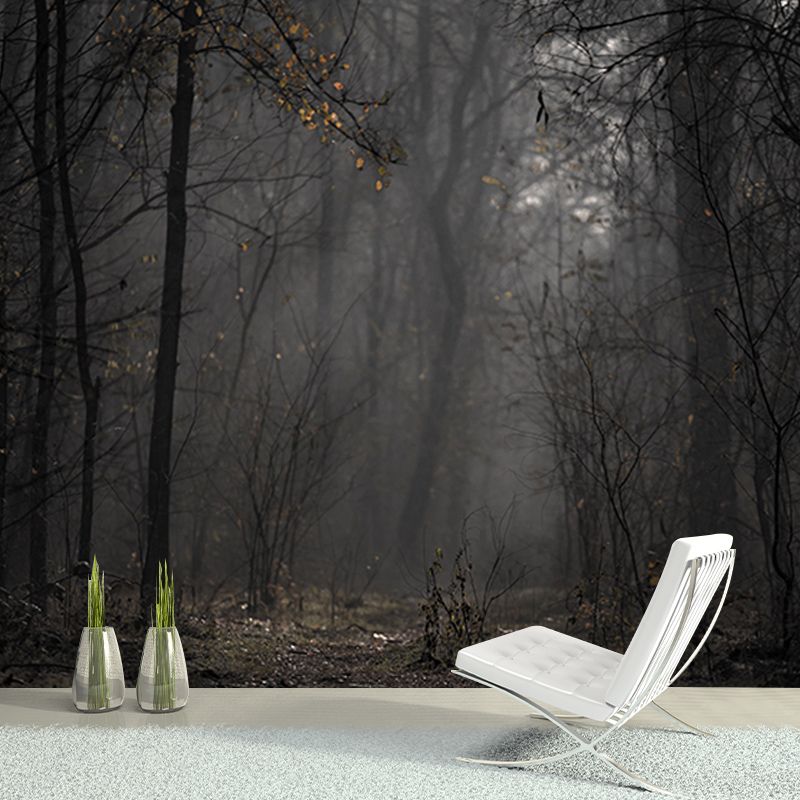 Beautiful Photography Mural Wallpaper Forest Sitting Room Wall Mural