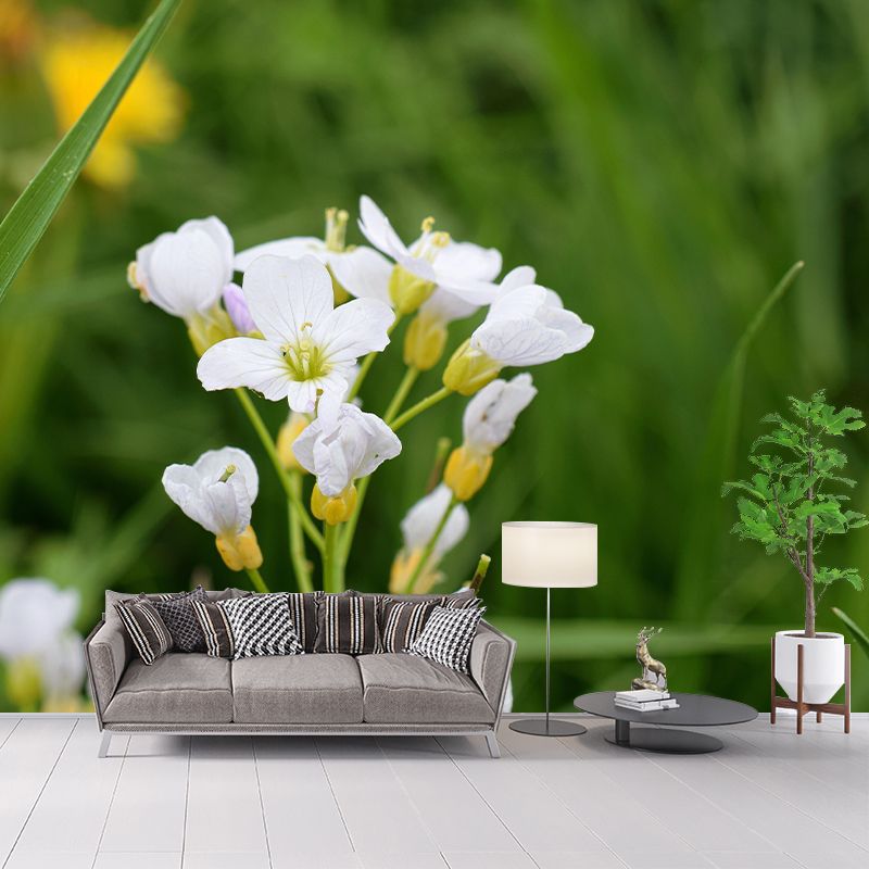 Customized Contemporary Scumwort Mural Mildew Resistant for Sitting Room Bedroom