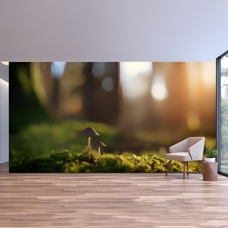 Mushroom Plant Modernist Wall Mural Decal Photography Stain Resistant for Living Room