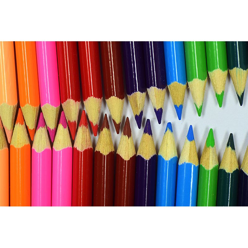 Pencil Color Eco-friendly Personal Hobby Mural Drawing Wallpaper Atelier Wall Decor