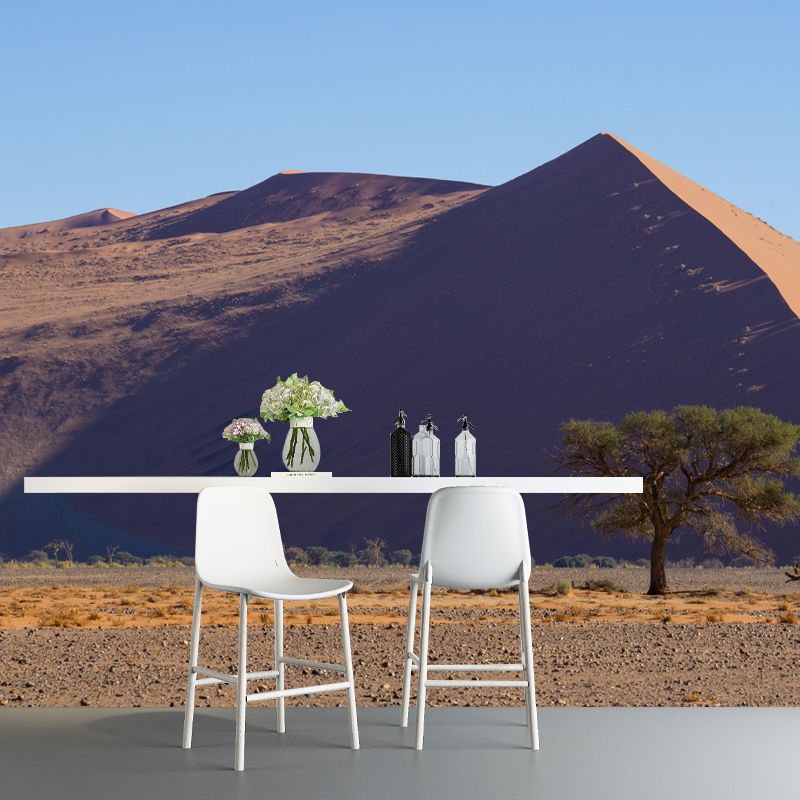 Soft Color Desert Mural Decal Nature Scenery Modern Mildew Resistant Wall Art