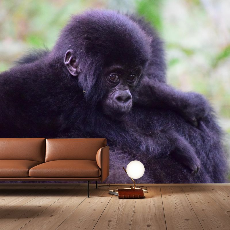 Chimpanzees Animal Wallpaper Mural Contemporary Style Wall Art for Living Room