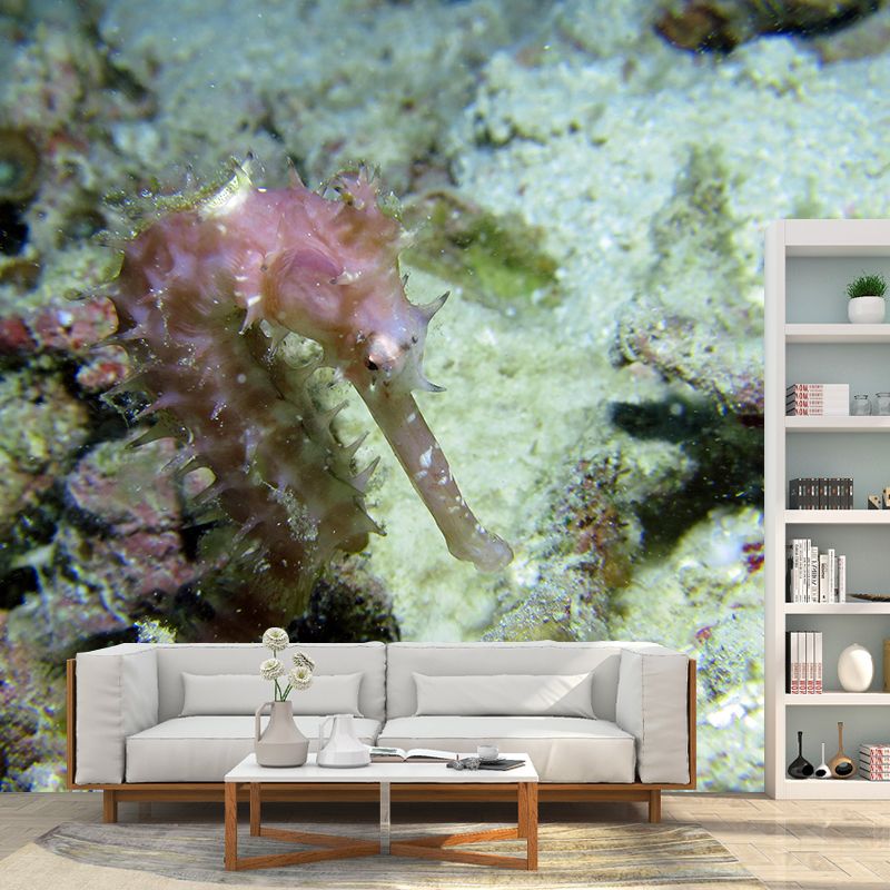 Photography Environment Friendly Undersea Wallpaper Drawing Room Wallpaper
