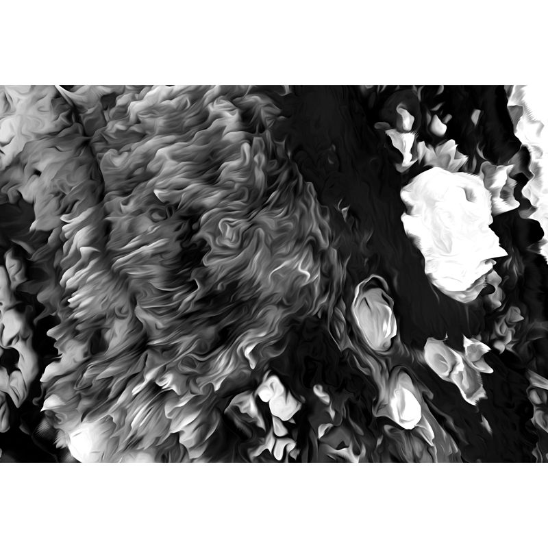 Blossoming Close-Up Wallpaper Mural Black and White Modern Wall Art for Girls Room