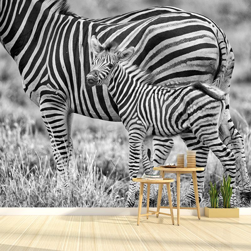Zebra Mildew Resistant Wild Animal Mural Contemporary Photography Sleeping Room Wall Mural