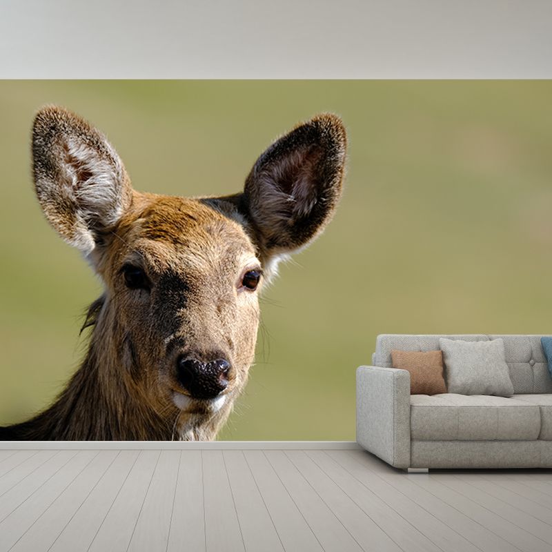 Deer Animal Mural Wallpaper for Living Room Decor Waterproofing,  Custom Size