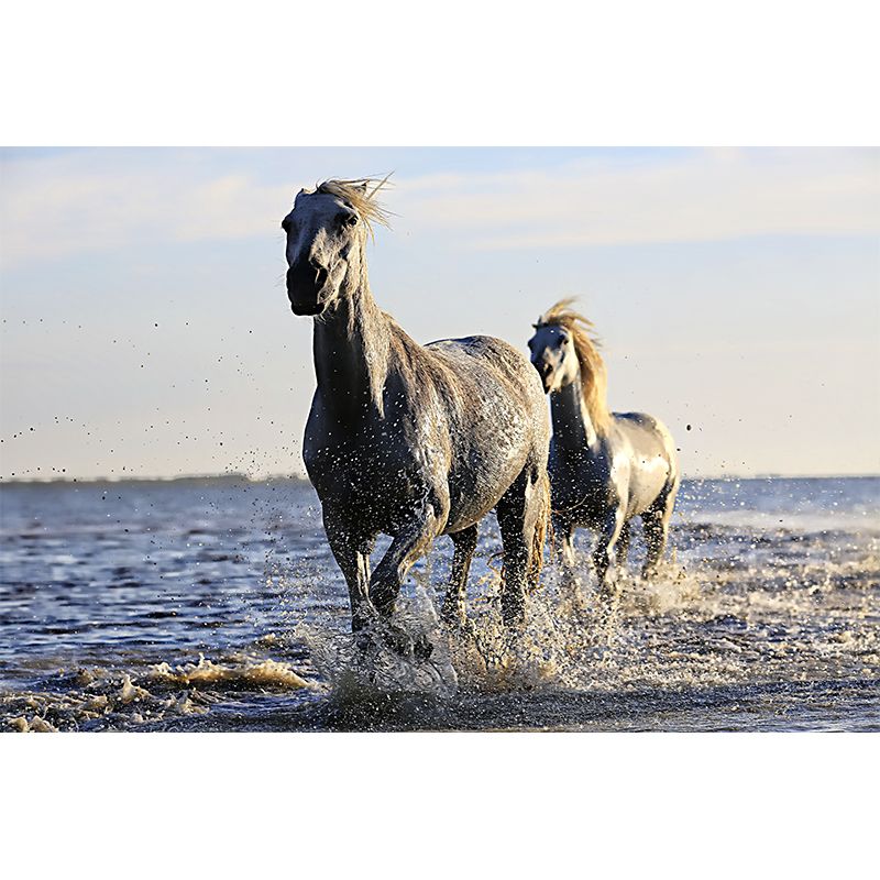 Horse Wall Paper Murals Wall Paper Murals for Home Moisture Resistant, Personalised Size