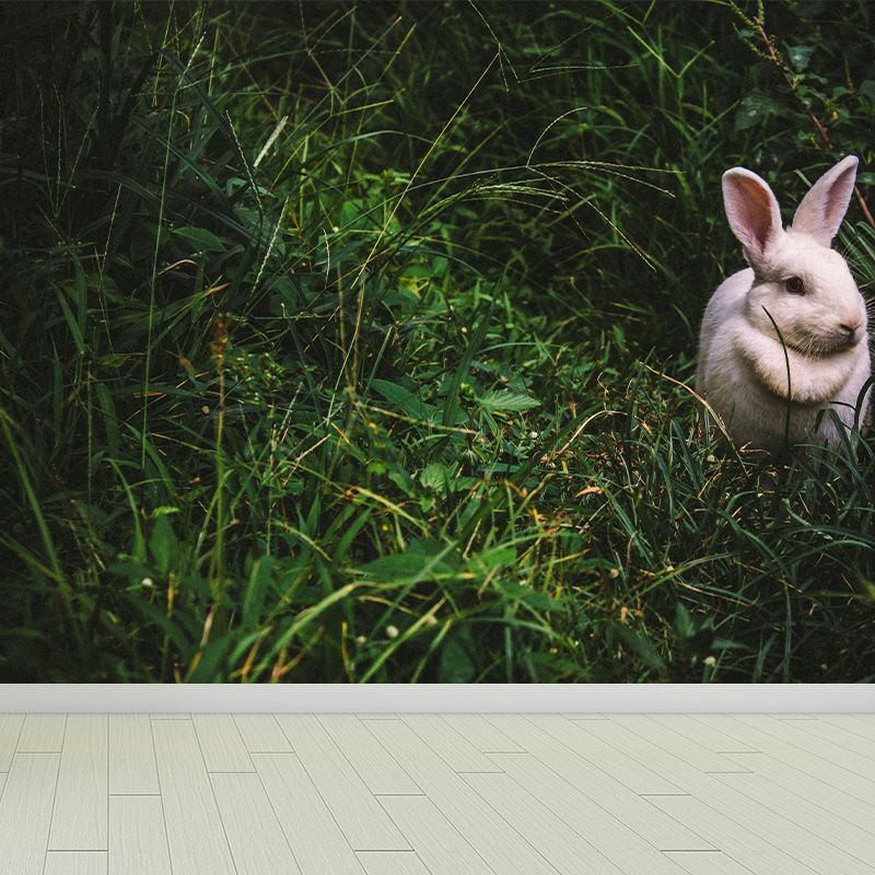 Customized Hare Wall Paper Murals Mildew Resistant Living Room Wall Decor
