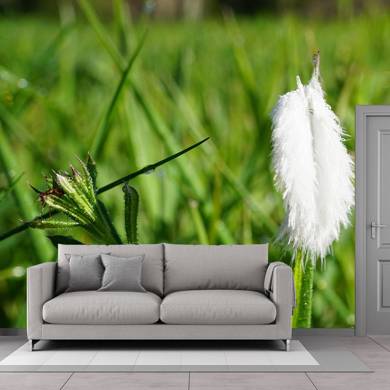 Eco-friendly Photography Feather Mural Decorative Wallpaper Wall Decor