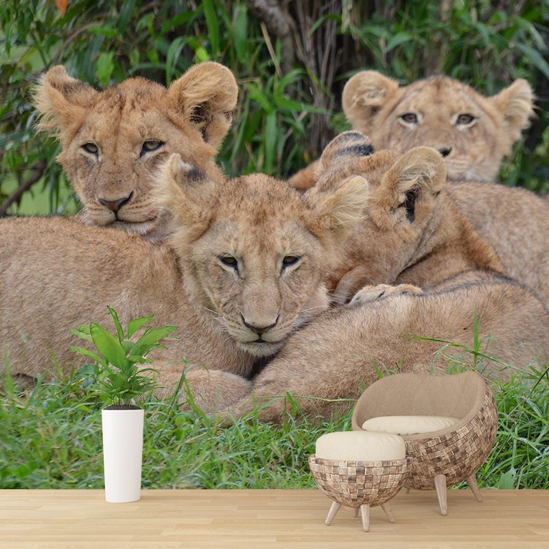 Modern Style Little Lion Mural Wall Decor Mildew Resistant Living Room Wall Mural Wall Art