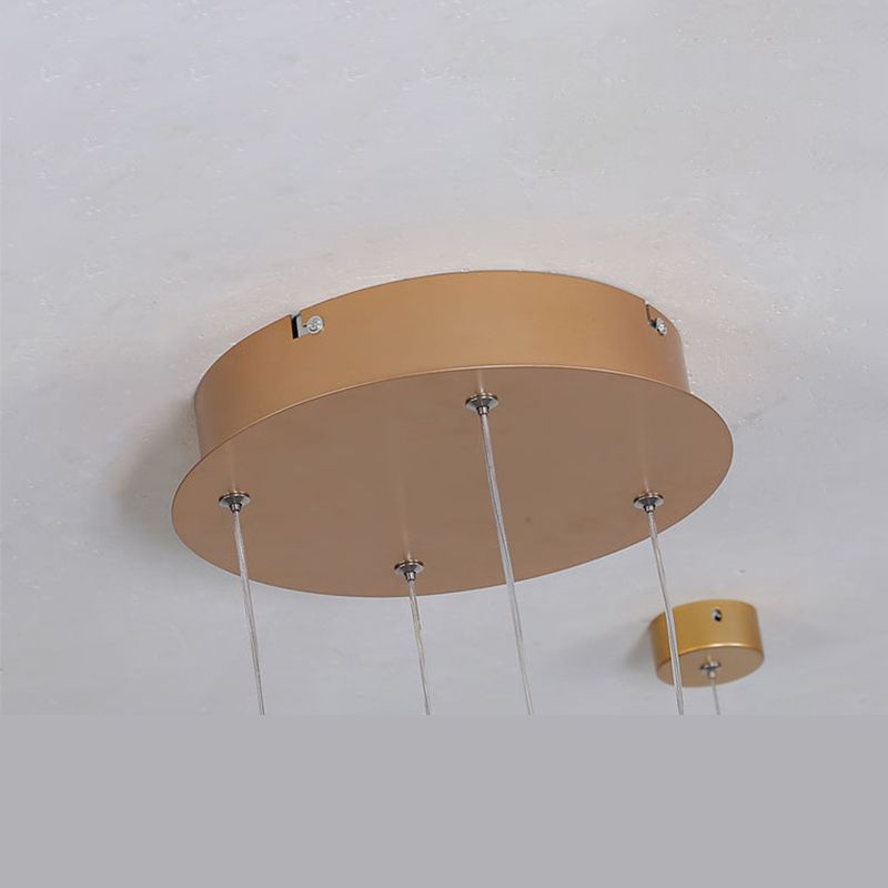 Modern Orbicular Pendant Lighting Fixtures Metal Pendant Chandelier