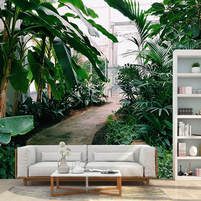 Environmental Wall Mural Wallpaper Tropical Landscape Sitting Room Wall Mural
