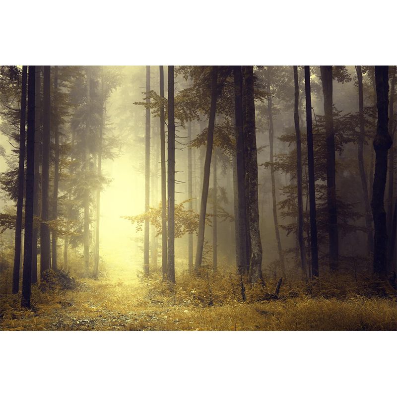 Papier peint mural de paysage de forêt brumeuse, décoration murale intissé moderne de couleur douce pour la maison