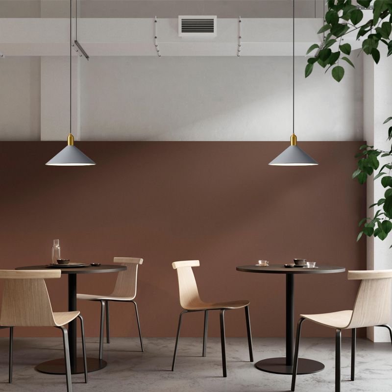 Elektroplate ijzerhanglamp in moderne creatieve stijl taps toelopend indoor hanglampje