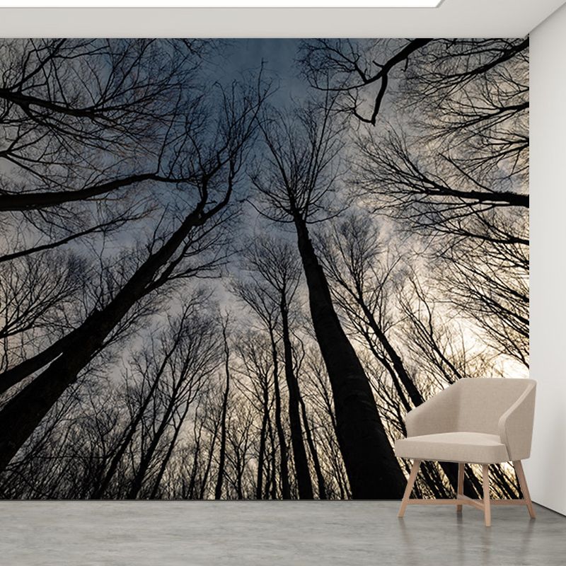 Mildew Resistant Forest Mural Photography Living Room Wall Mural