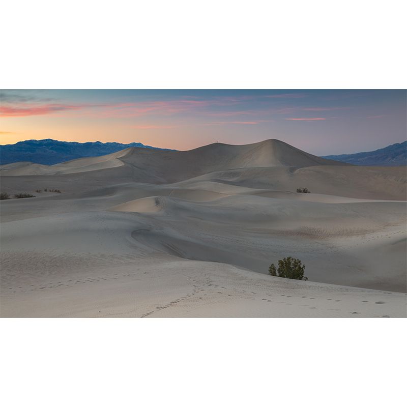 Desert Mural Wallpaper Horizontal Photography Style for Bedroom Decoration