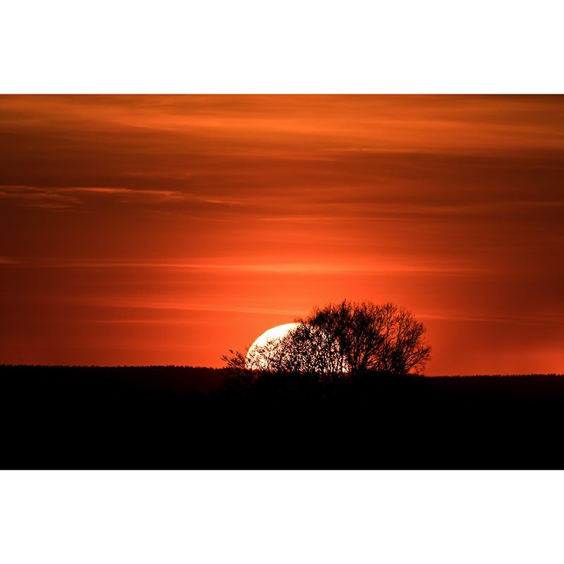 Beautiful Scenery Mural Sky Pattern Mildew Resistant for Dining Room Wall Decor